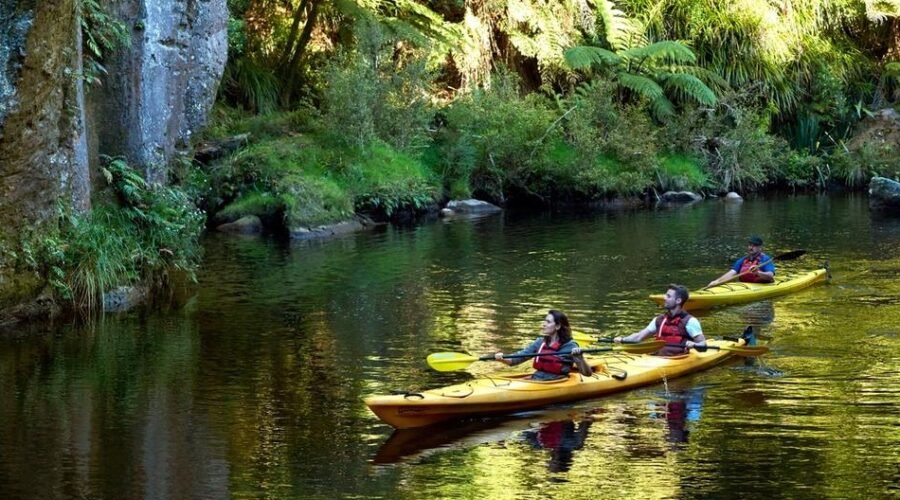 11 must-do North Island experiences